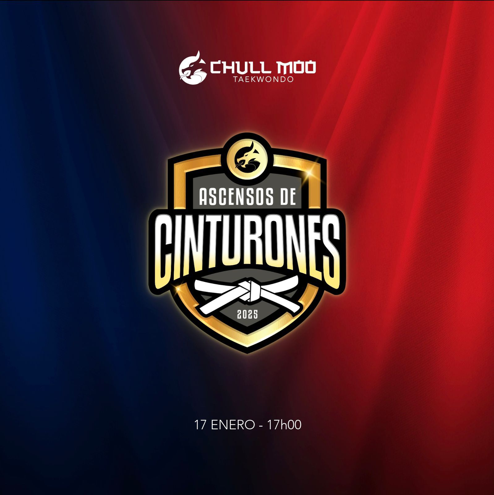 Imagen del anuncio